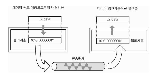 "물리계층의 구조"